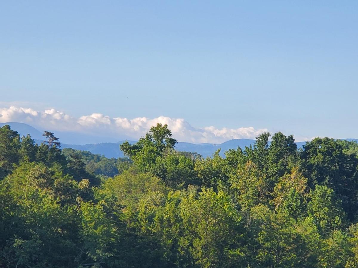 Huny Bear Lodge Pigeon Forge Exterior photo